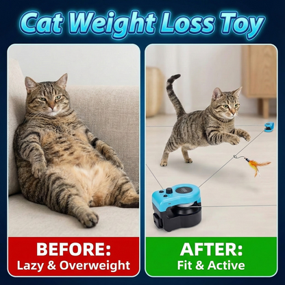 Cat Weight Loss Toy