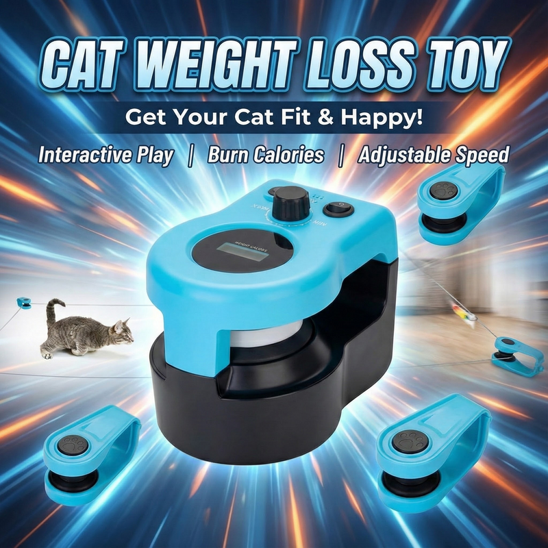 Cat Weight Loss Toy