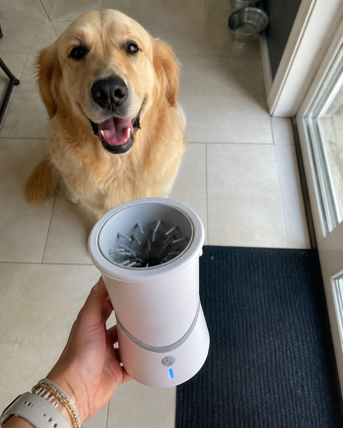 Pet electric foot washer