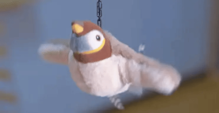 Cat bird toy