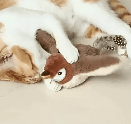 Cat bird toy