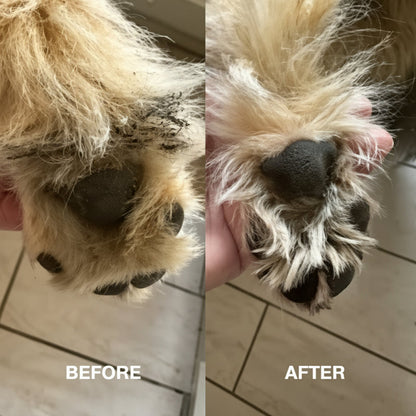 Pet electric foot washer